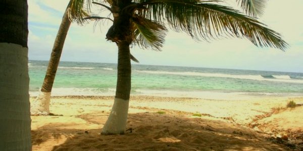 Image:Plage de Petite-Rivière