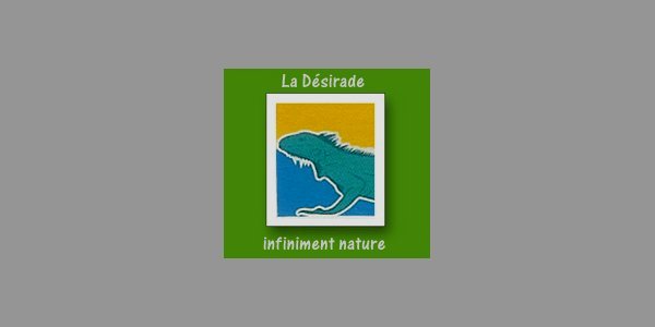 Image:La Mairie de La Désirade