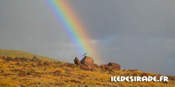 Image:Une visite à la Désirade