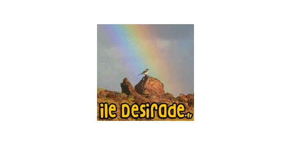 Image: 