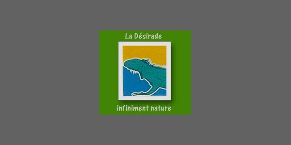 Image:La Mairie de La Désirade
