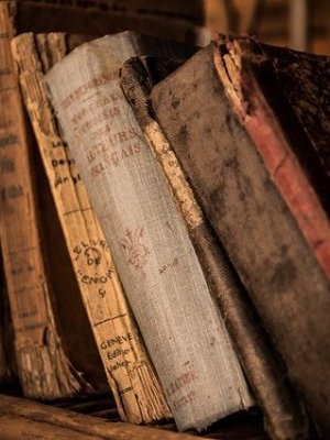 Illustration:Les livres